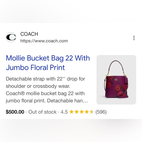 Coach Mollie Bucket Bag 22 With Jumbo Floral Print NWOT - Picture 5 of 7